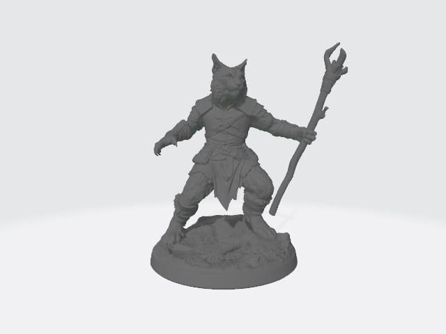 Cat Folk Druid