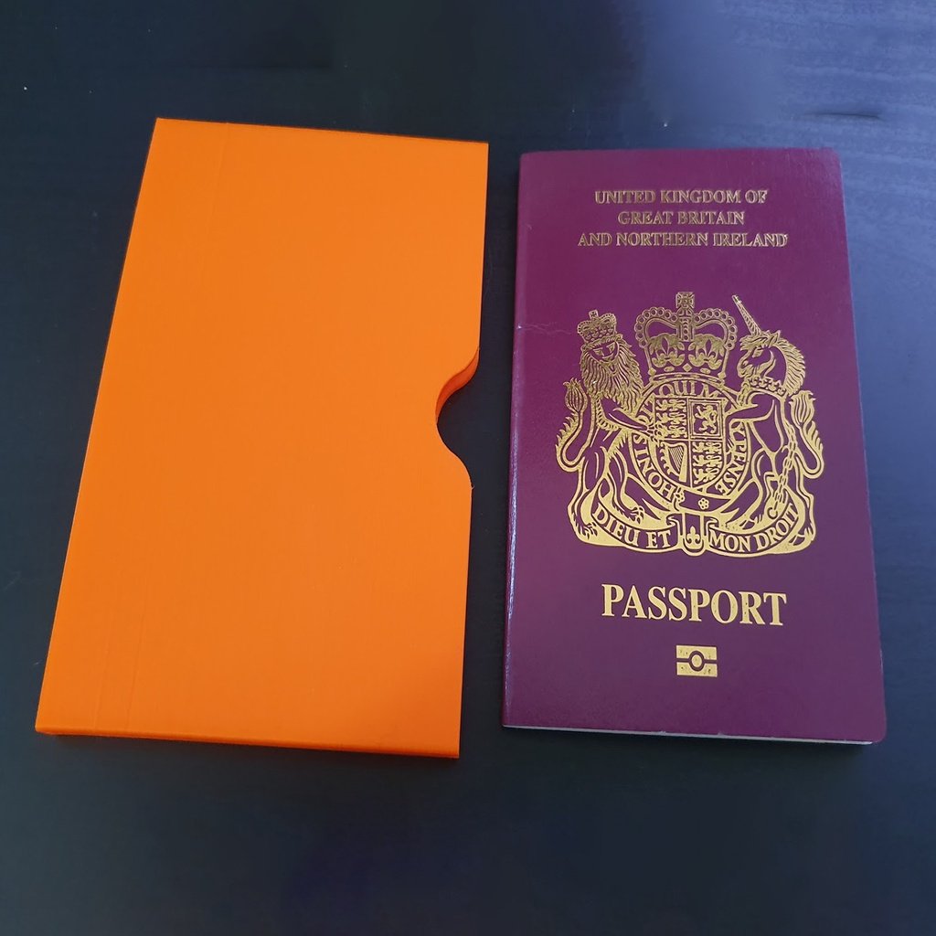 Compact Passport Protector
