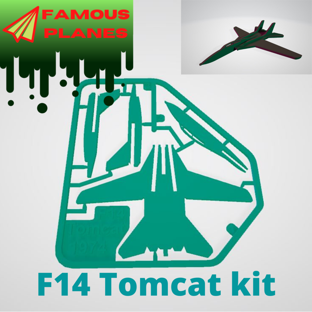FAMOUS PLANES - F14 Tomcat kit card