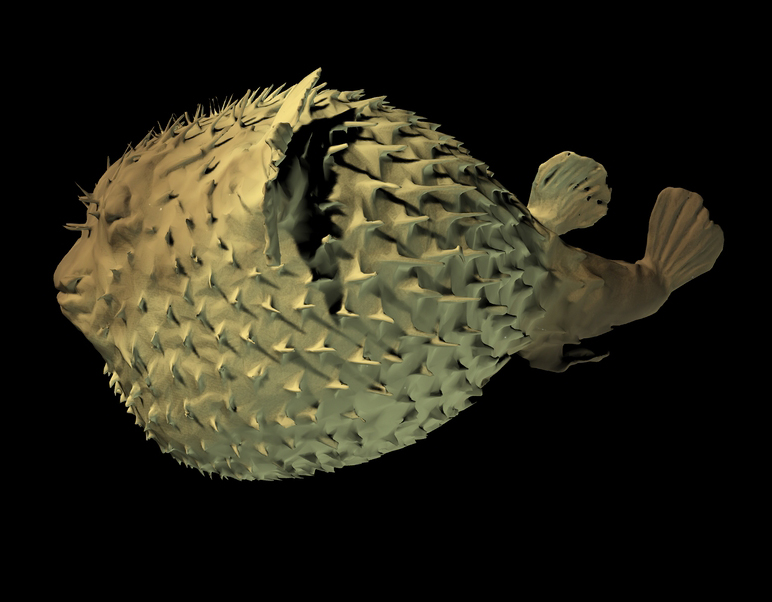Puffer Fish for Lamp