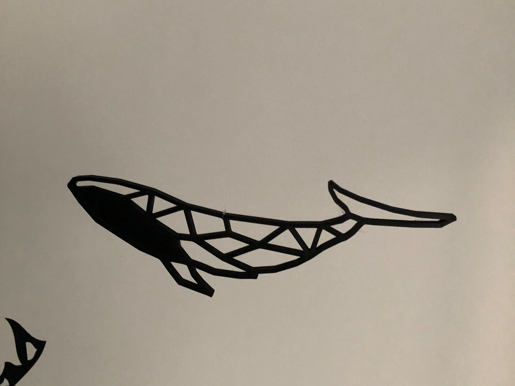 Geometric Whale