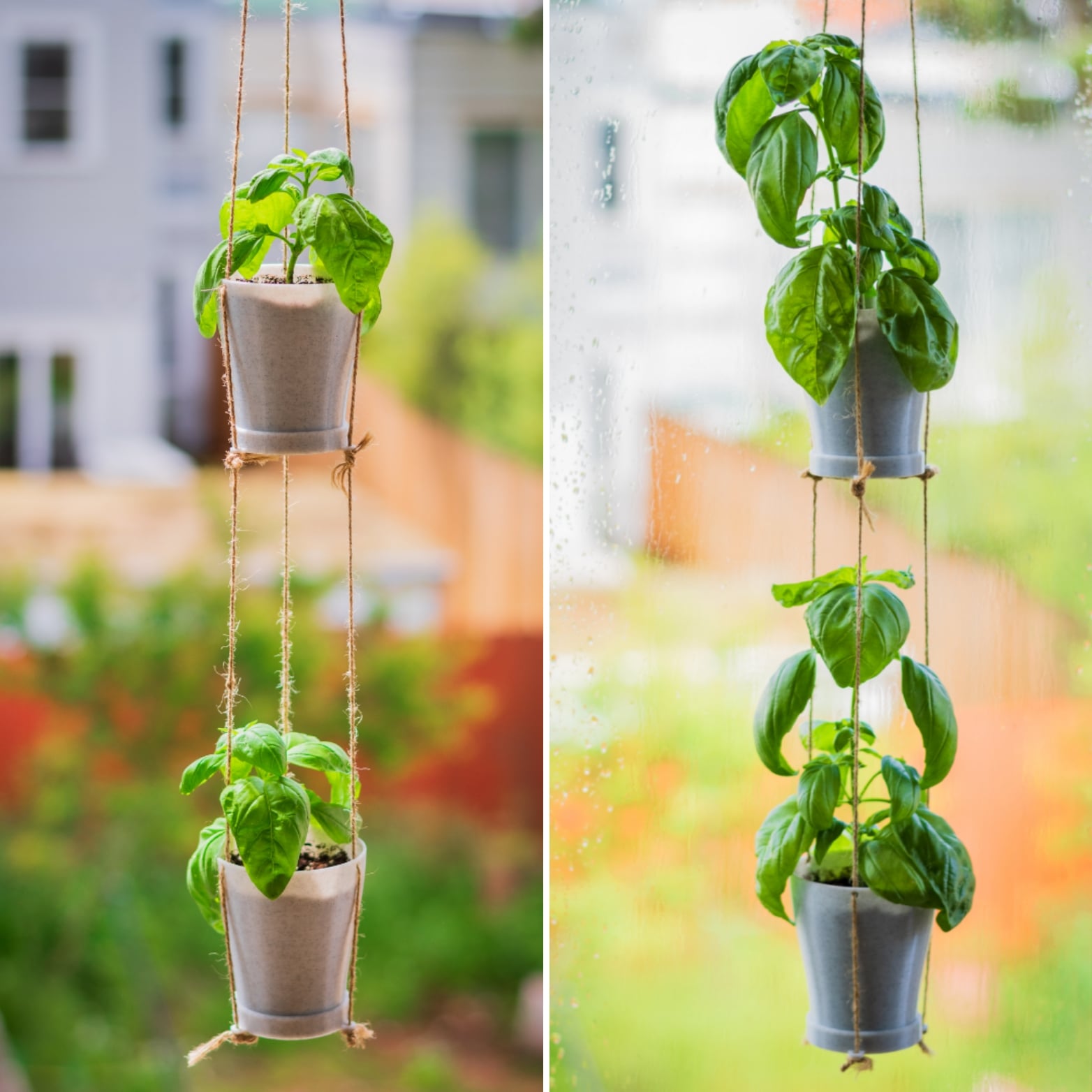 Modular Hanging Planter