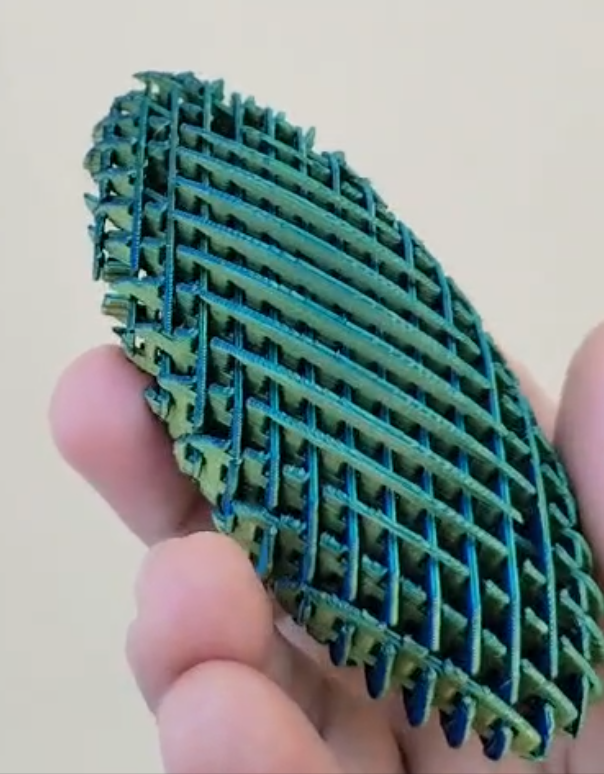 Fidget oval Worm