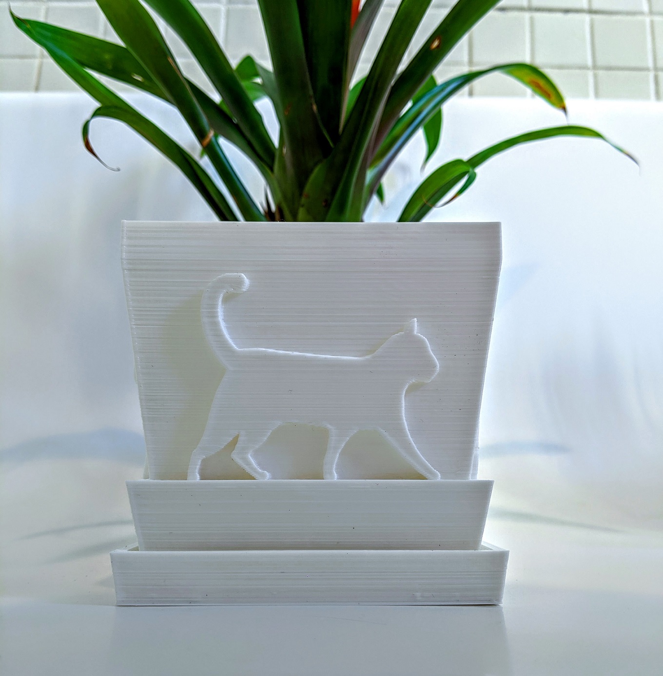Cat planter