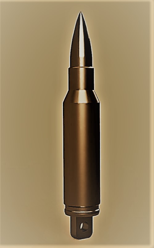 Bullet with shell keychain