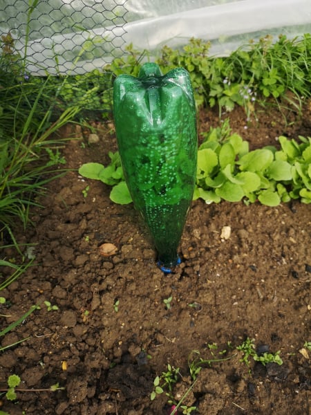 Irrigation garden from Perrier 1L Bottle