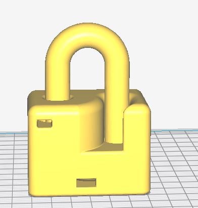 Single Print Padlock