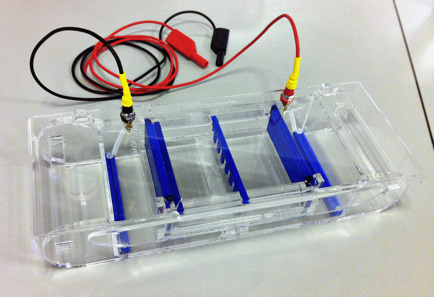 Parametric Gel Electrophoresis System