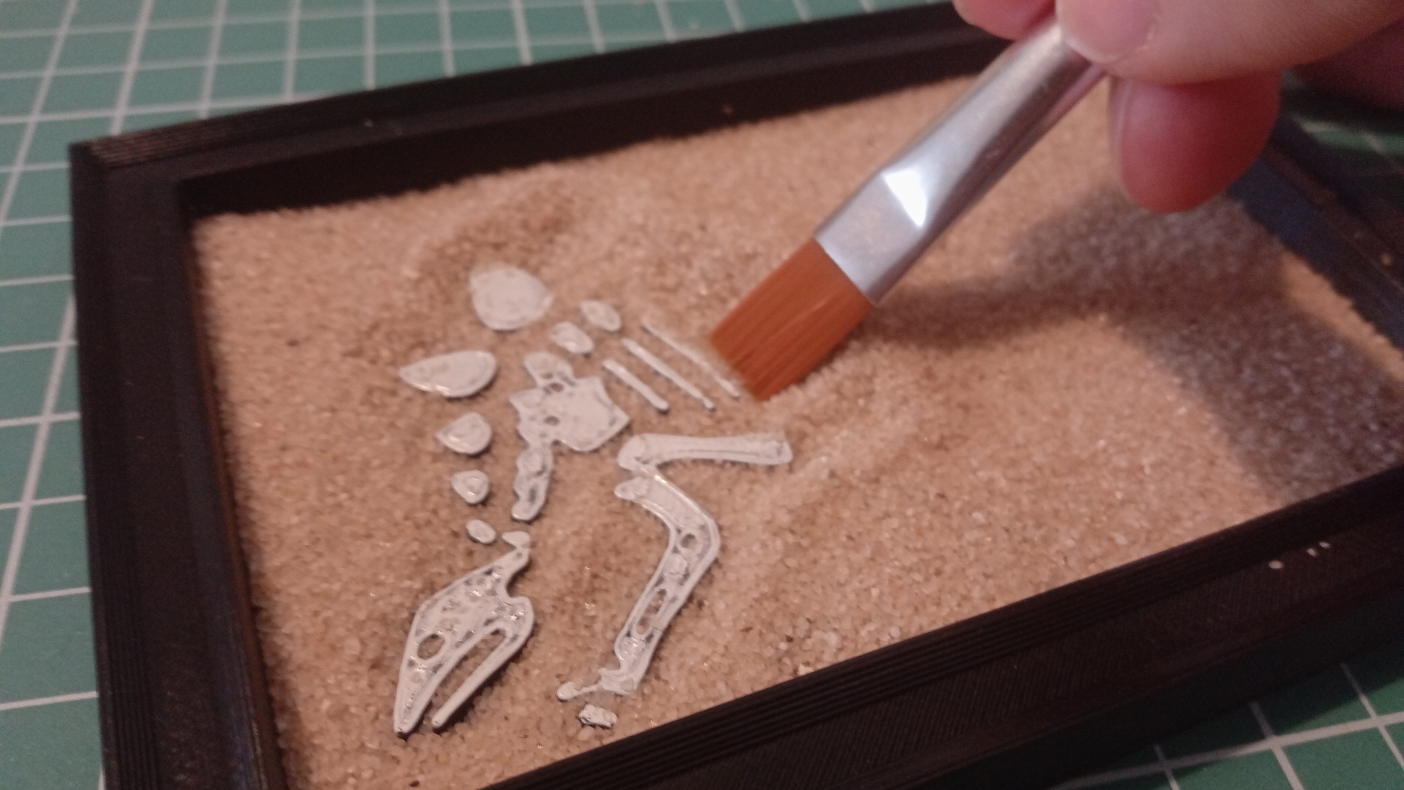 DINO ZEN GARDEN