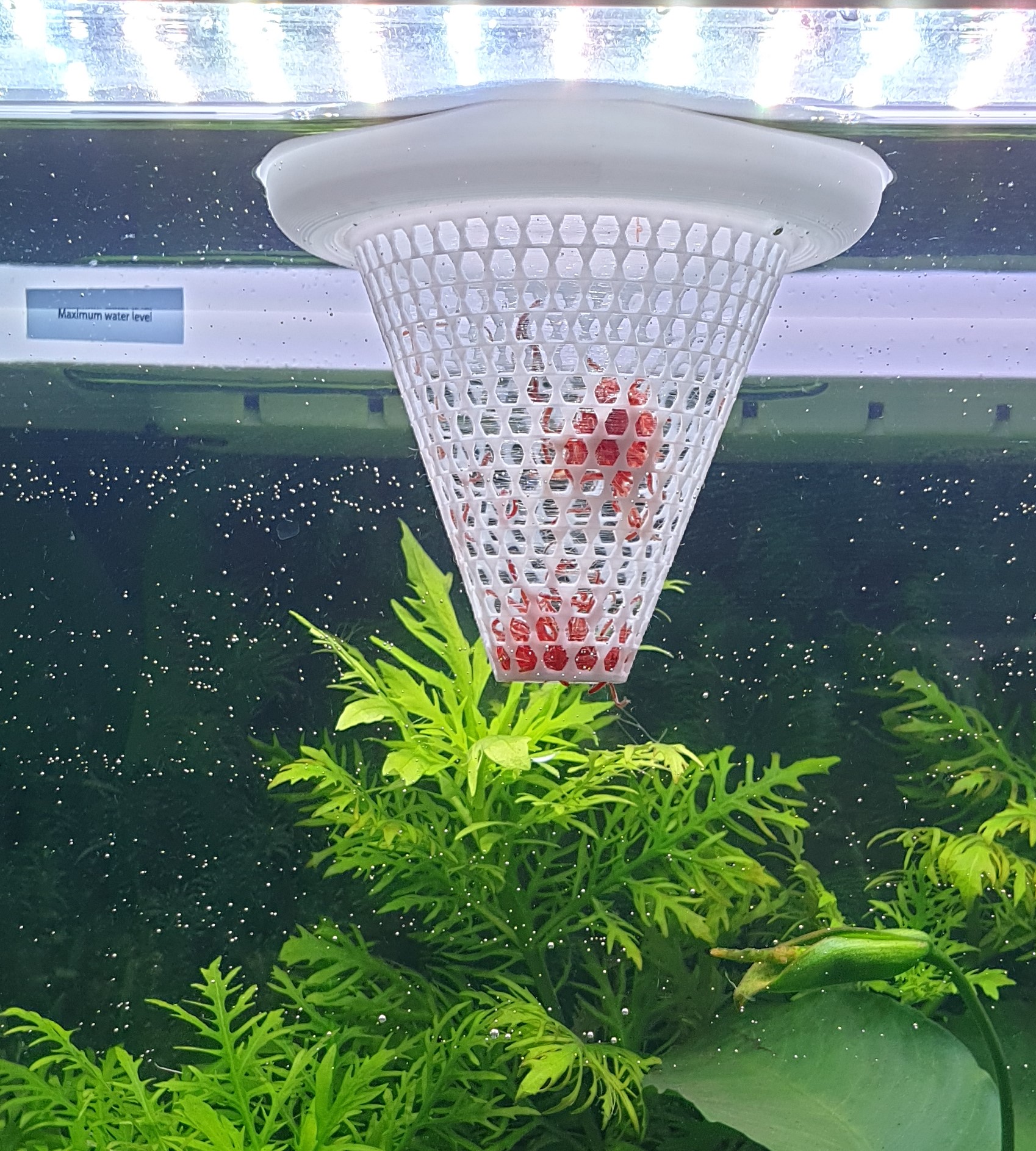 Aquarium Floating Fish Feeding Cone