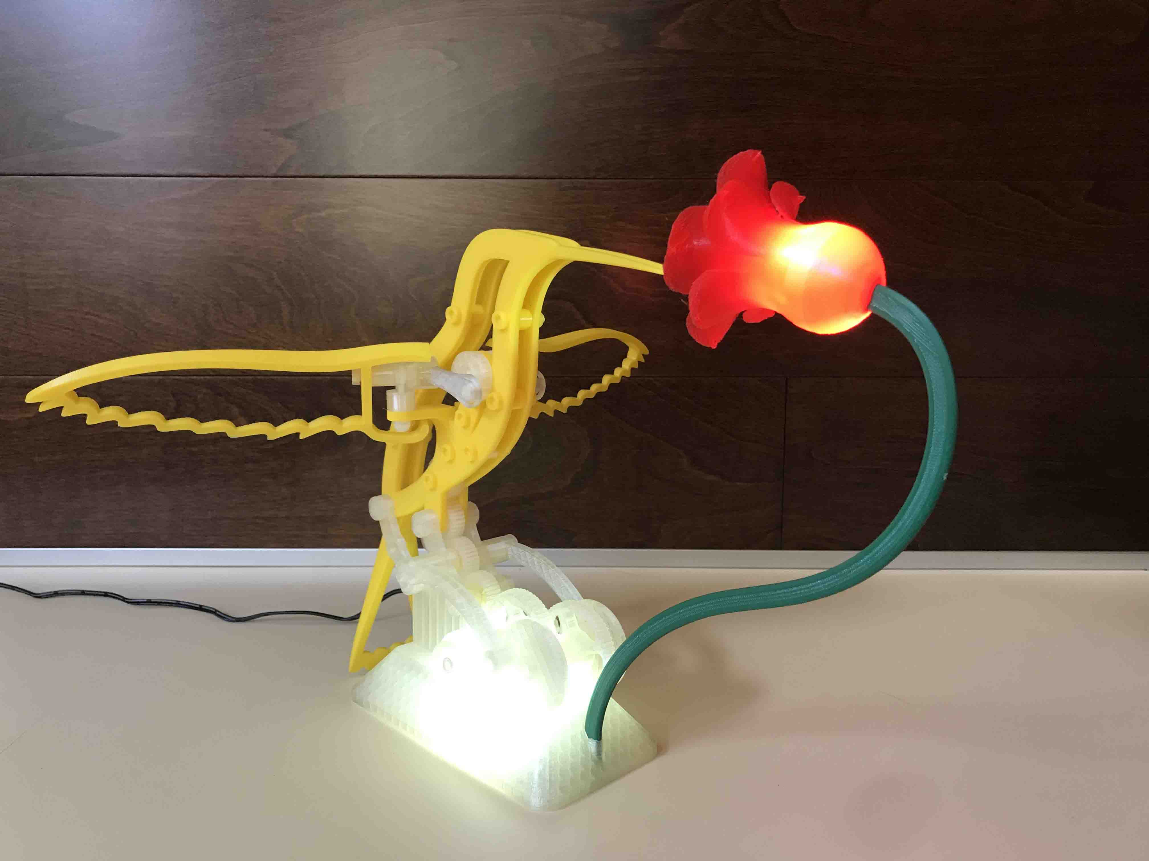Illuminated Hummingbird Remix