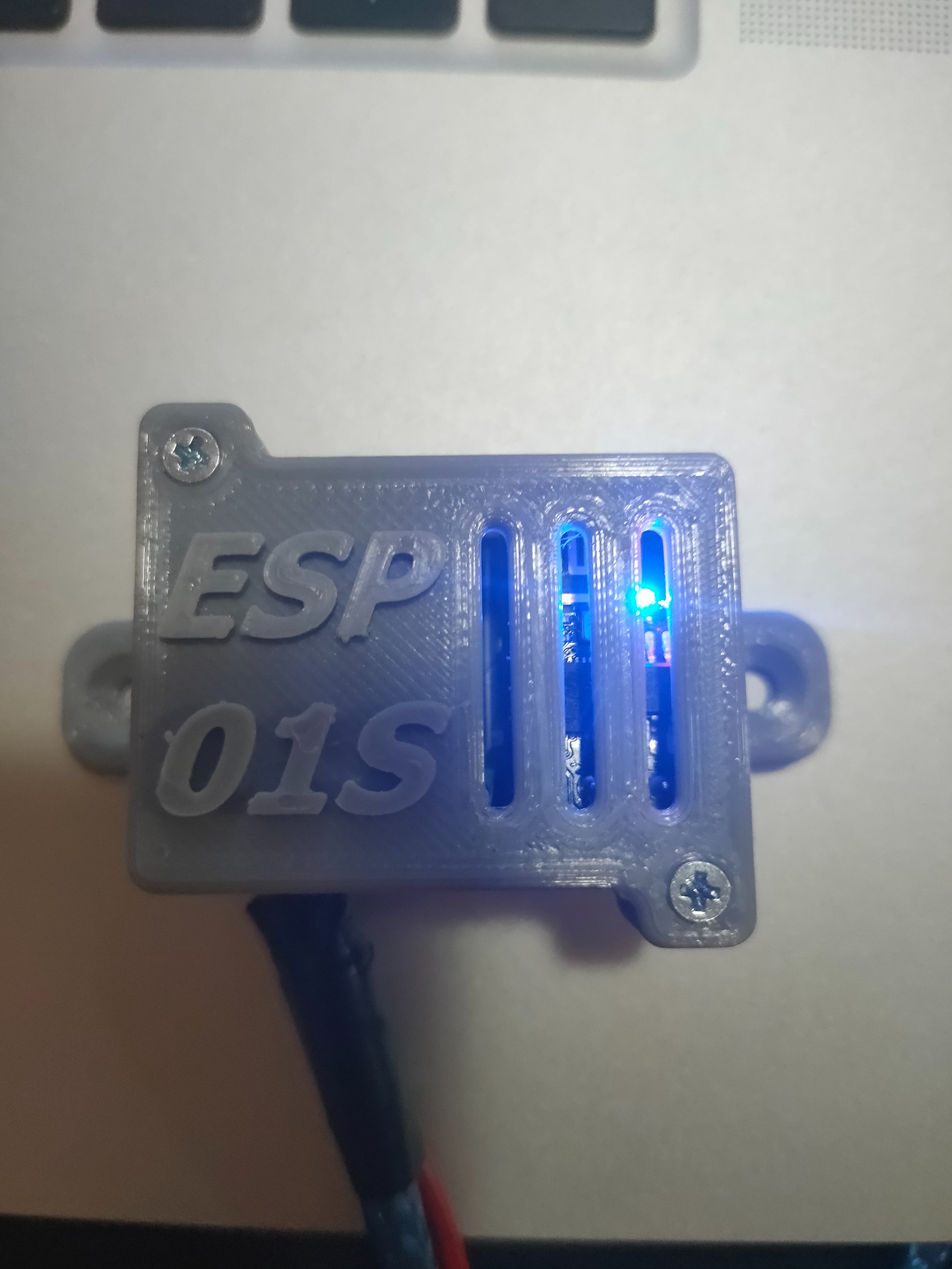 ESP-01S Relay Case