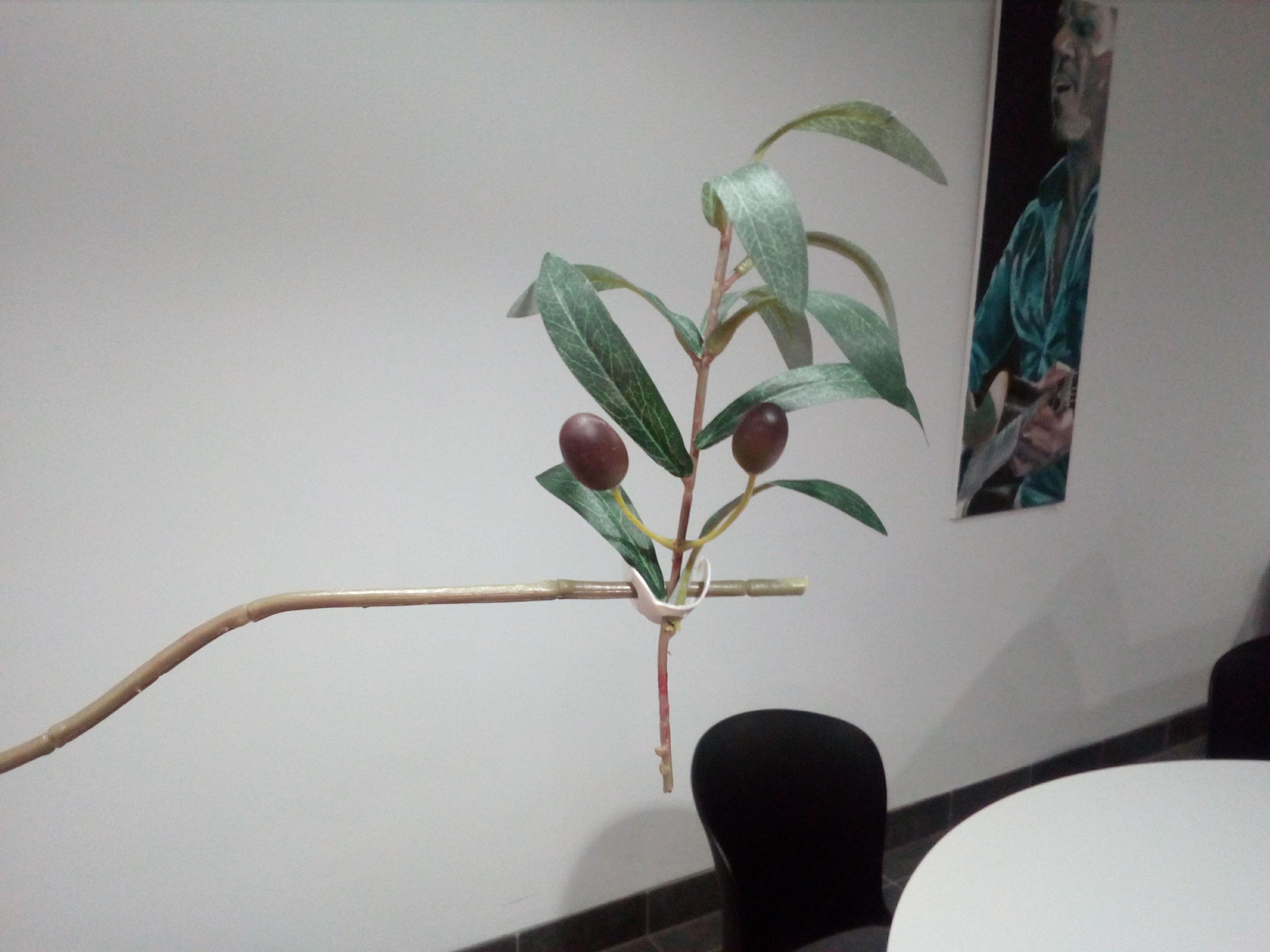 FlowerTreeClip