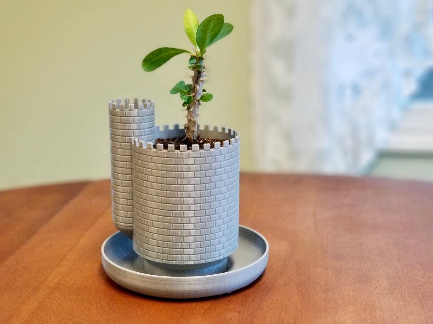 Planttlement - Castle Planter with Moat, for Succulents