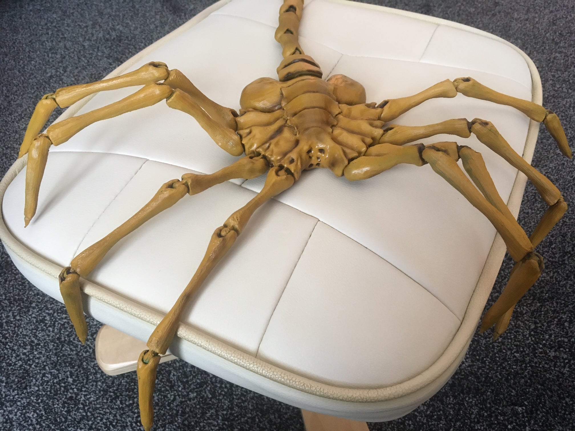 Agisis Face Hugger (simplified)