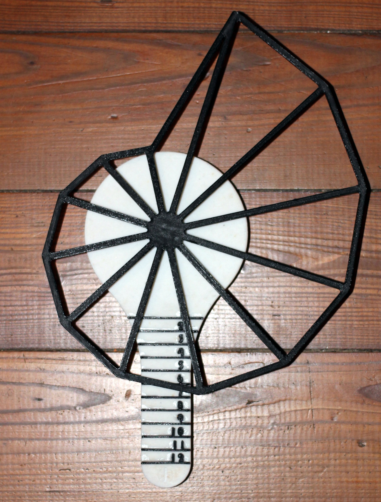Ammonoidea Clock - Continuous Clock - Linear Clock