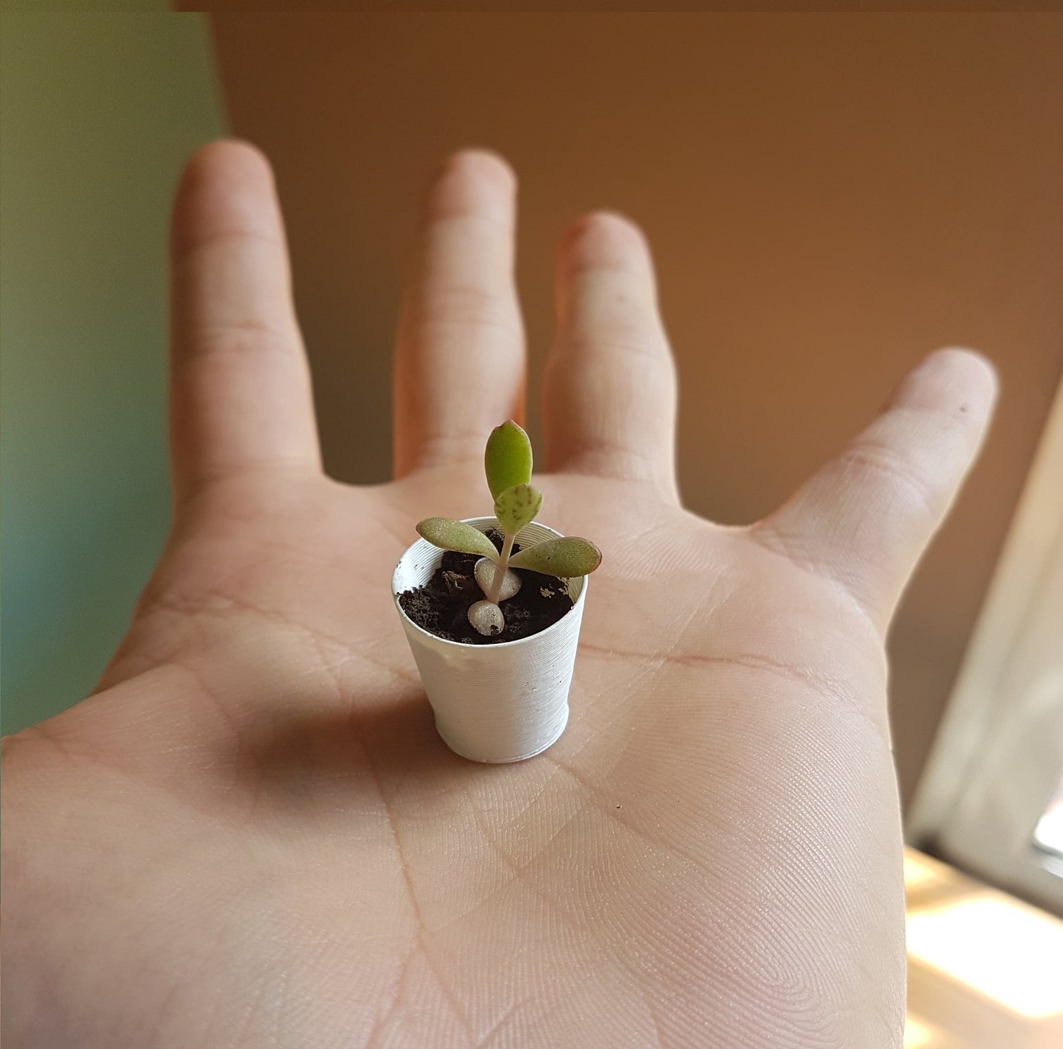 Mini Flower Pot
