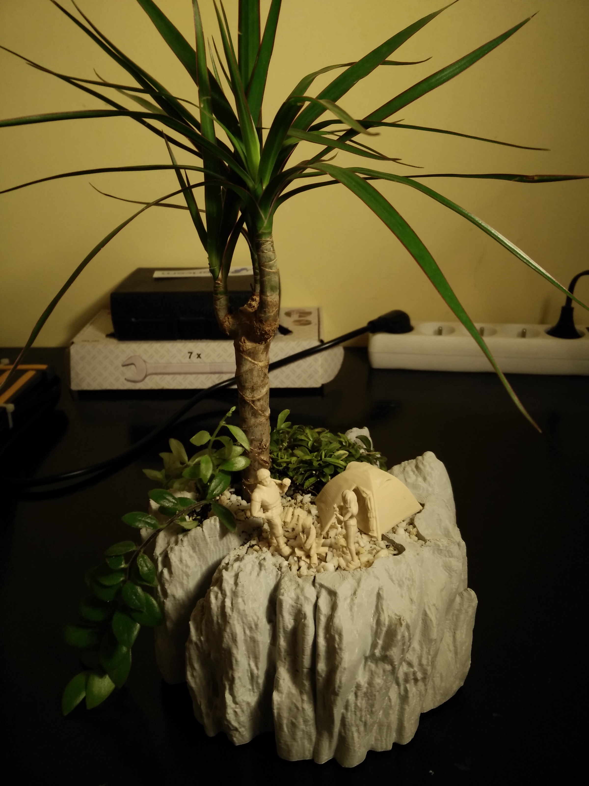 Rocky planter