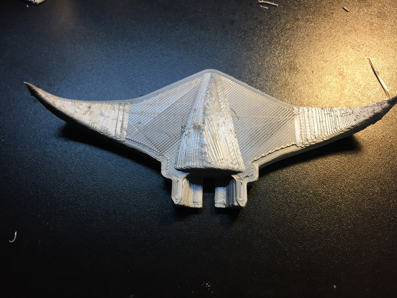 Manta Ray (Tailless)
