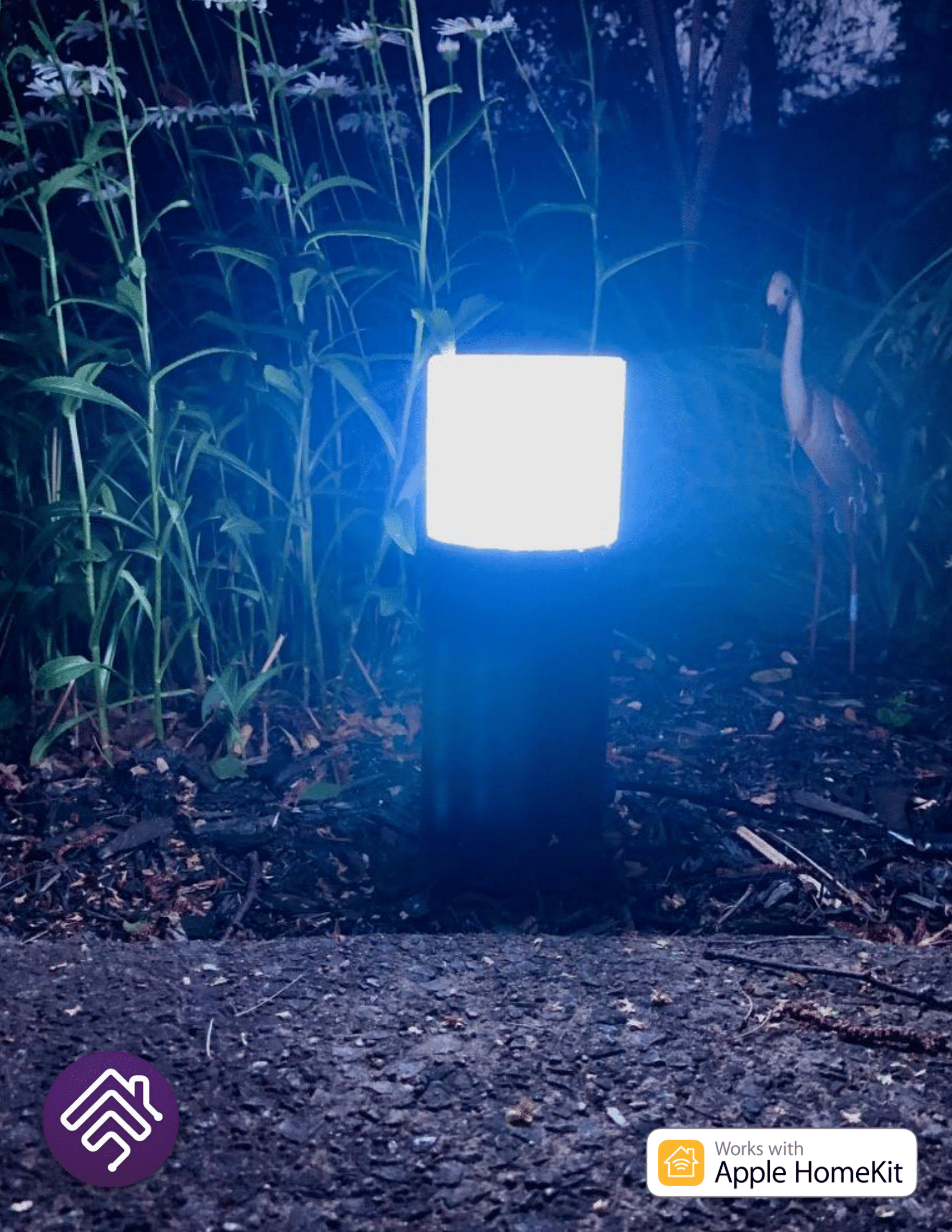 Garden Lights