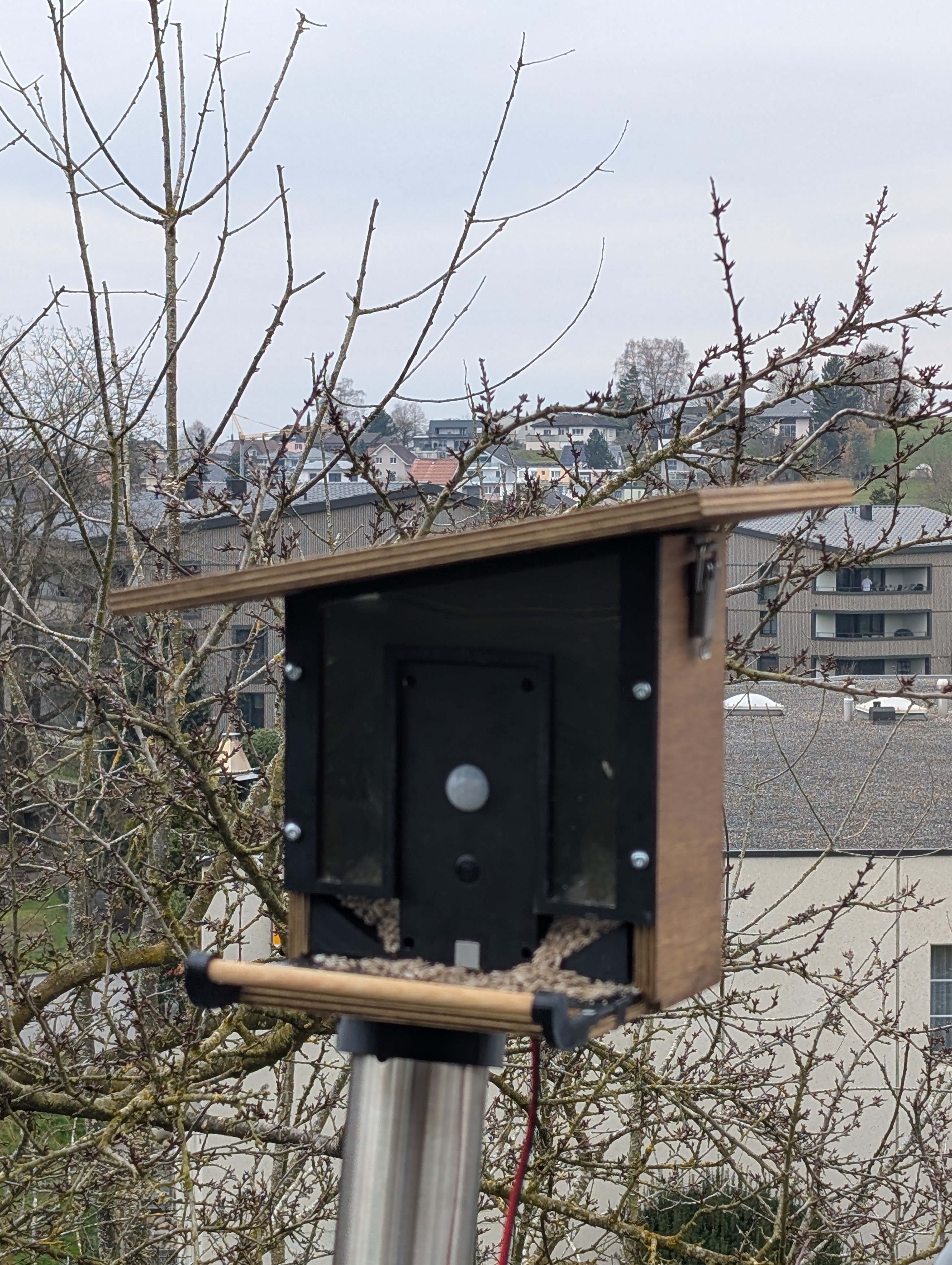 Birdy a  Smart Bird Feeder with AI Species Detection (Raspberry Pi 5)