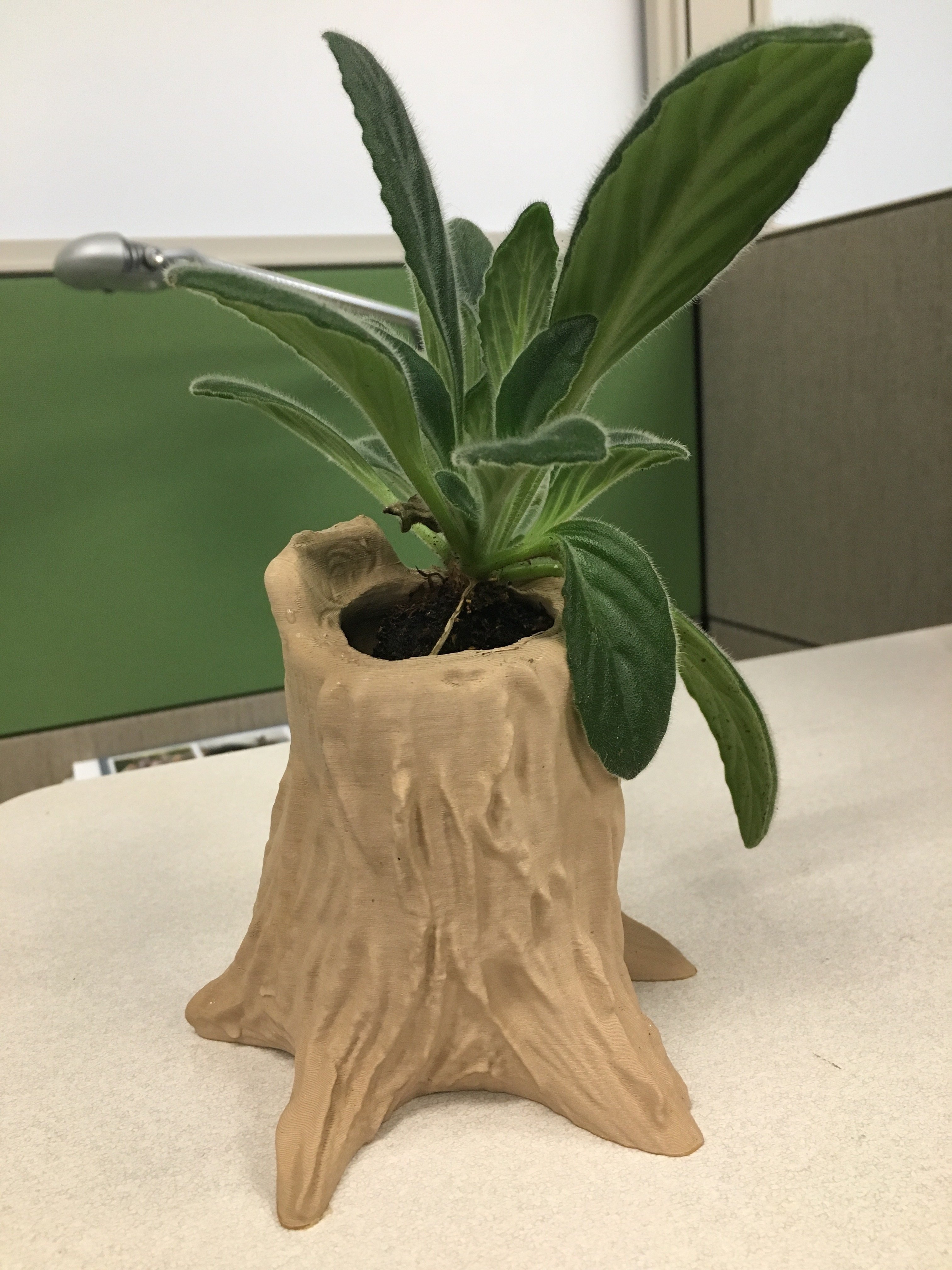 Tree Stump Planter