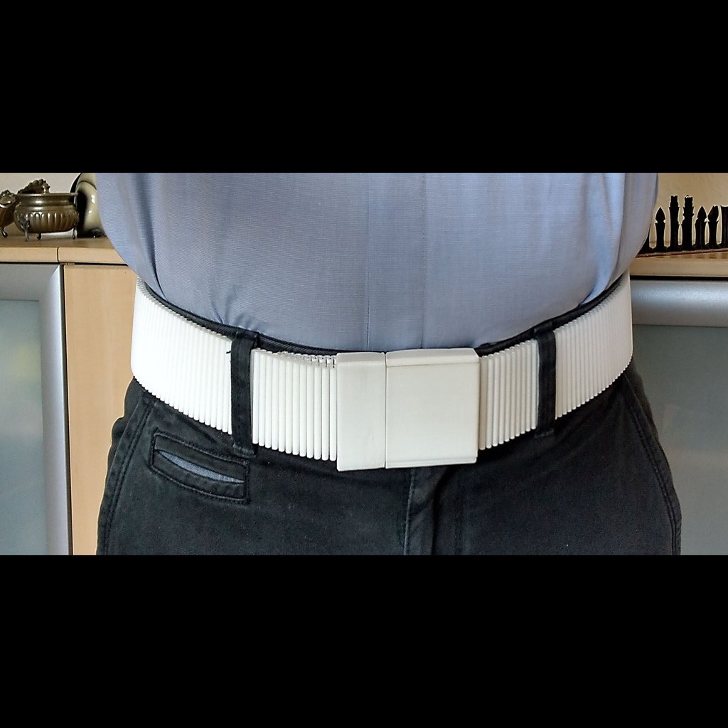 Stretch belt, wearable belt, waist belt
