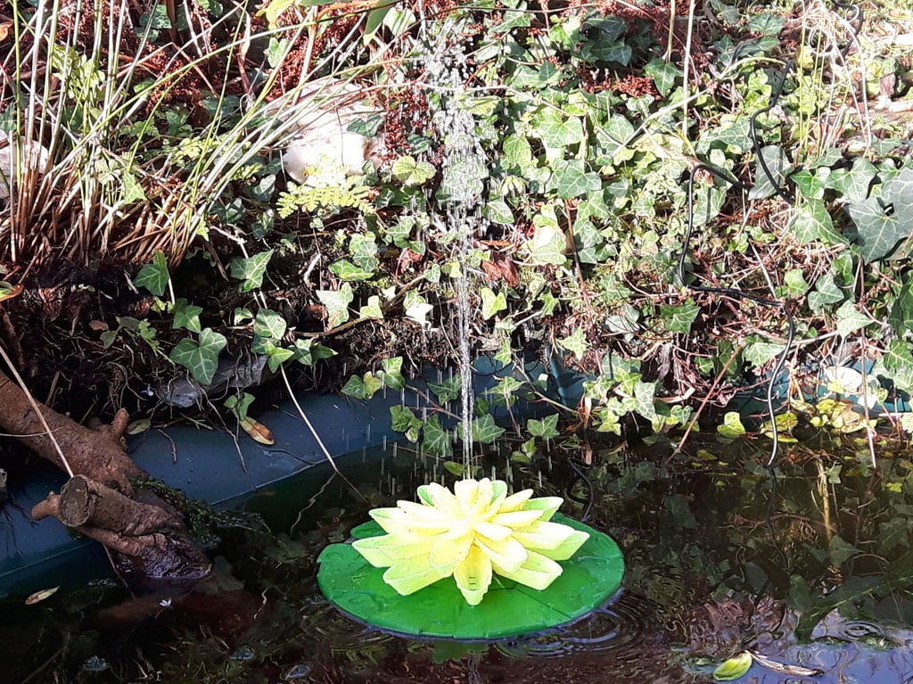 Pond Fountain and Water Filter