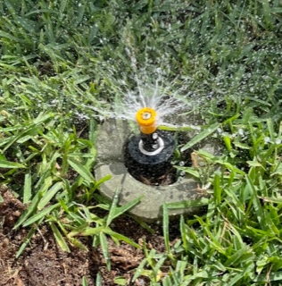 Triple spray sprinkler head