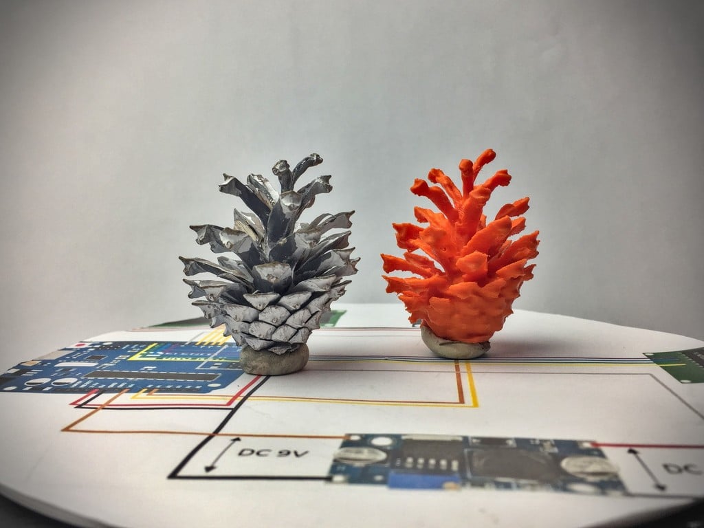 Pine and Spruce Cone - 3D-Scan Examples