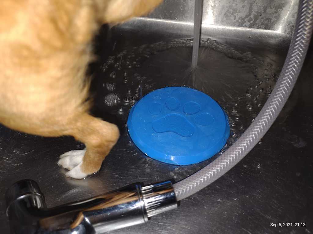 Sink Paw Safety Cover