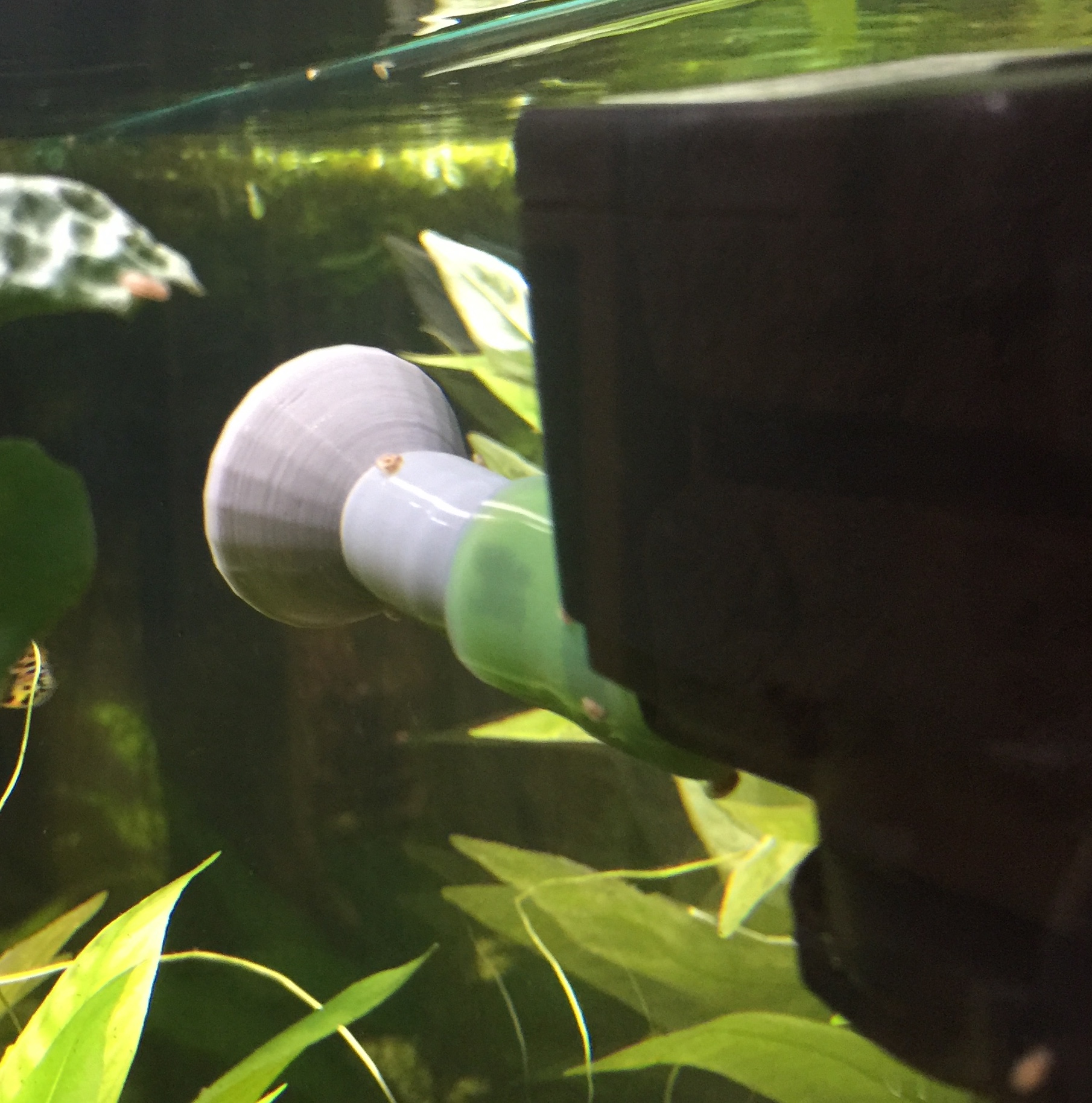 Aquarium Water Flow Diffuser