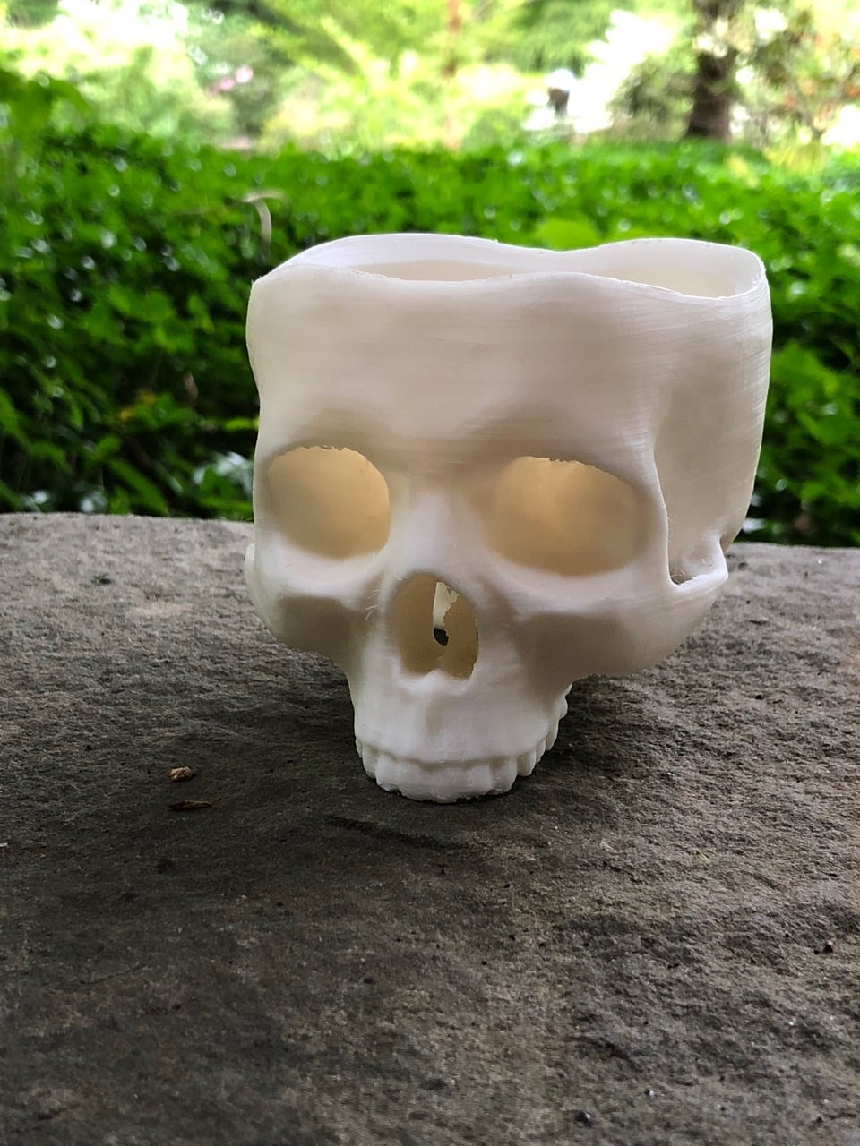 Skull Pot