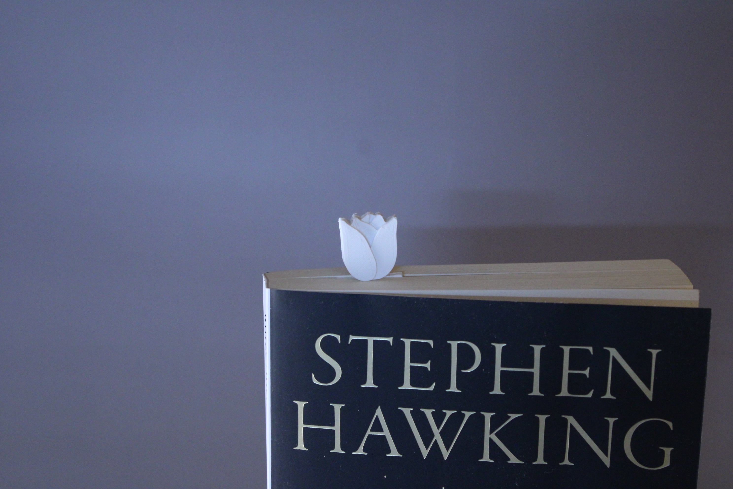 Tulip Bookmark (Fast & Easy Print, No Supports)