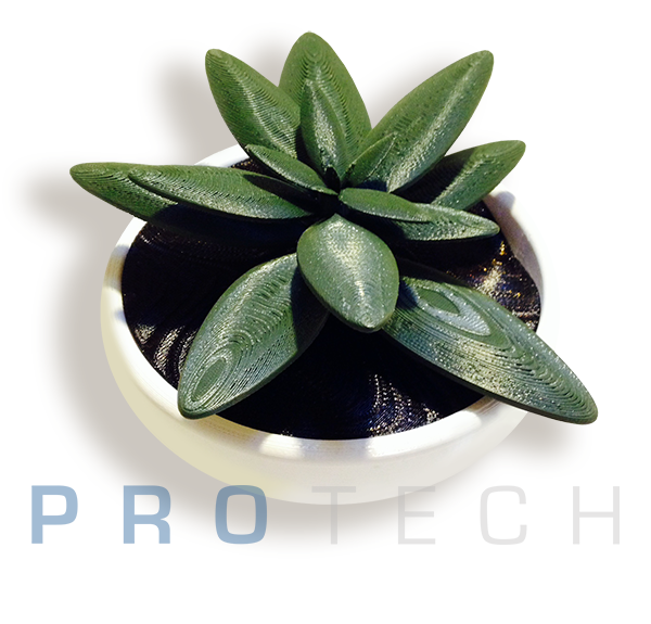 Green Flower in Pot