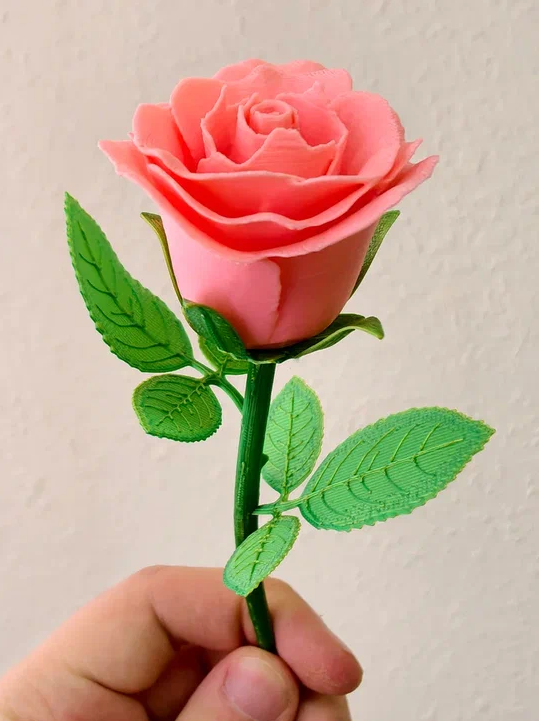 Rose, stem and leaves