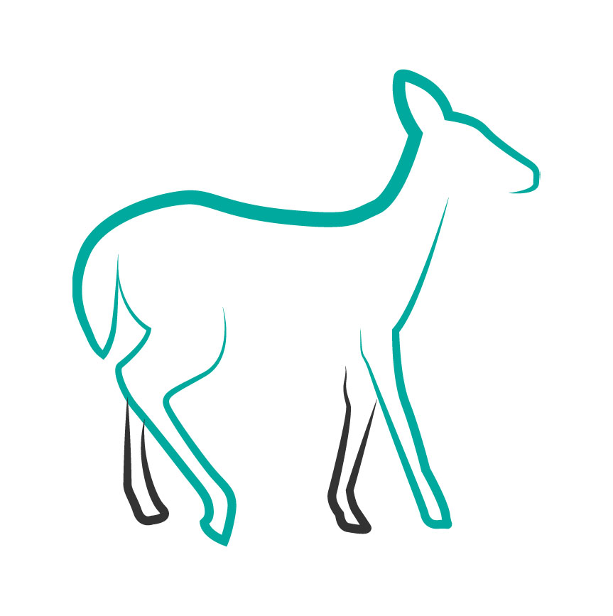 fawndesigns