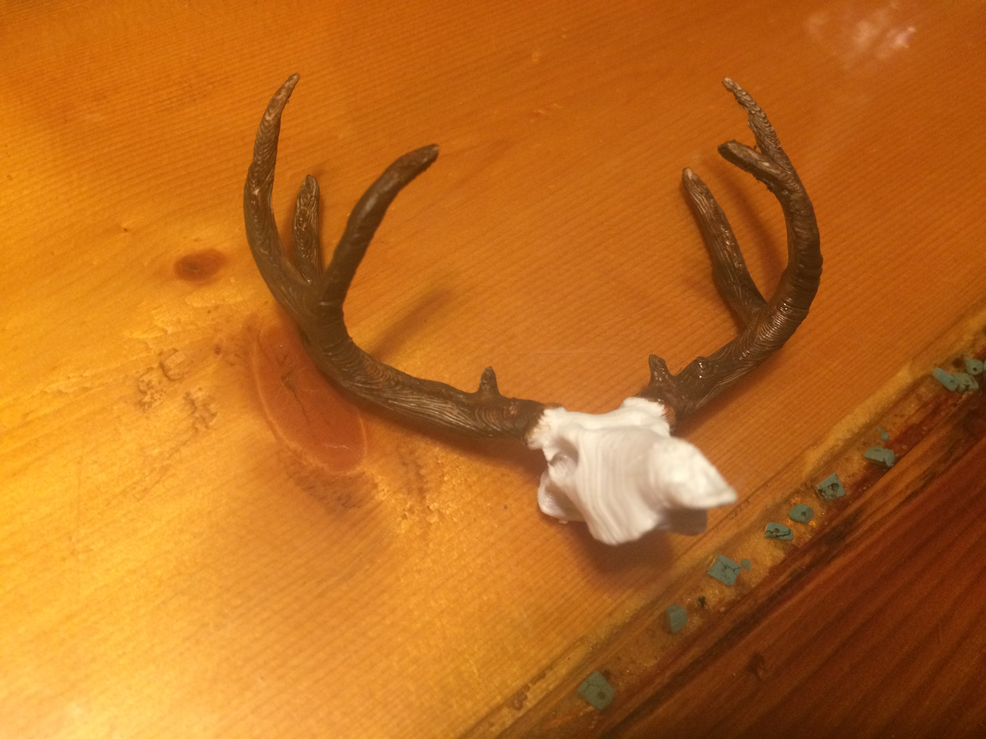 Mule Deer