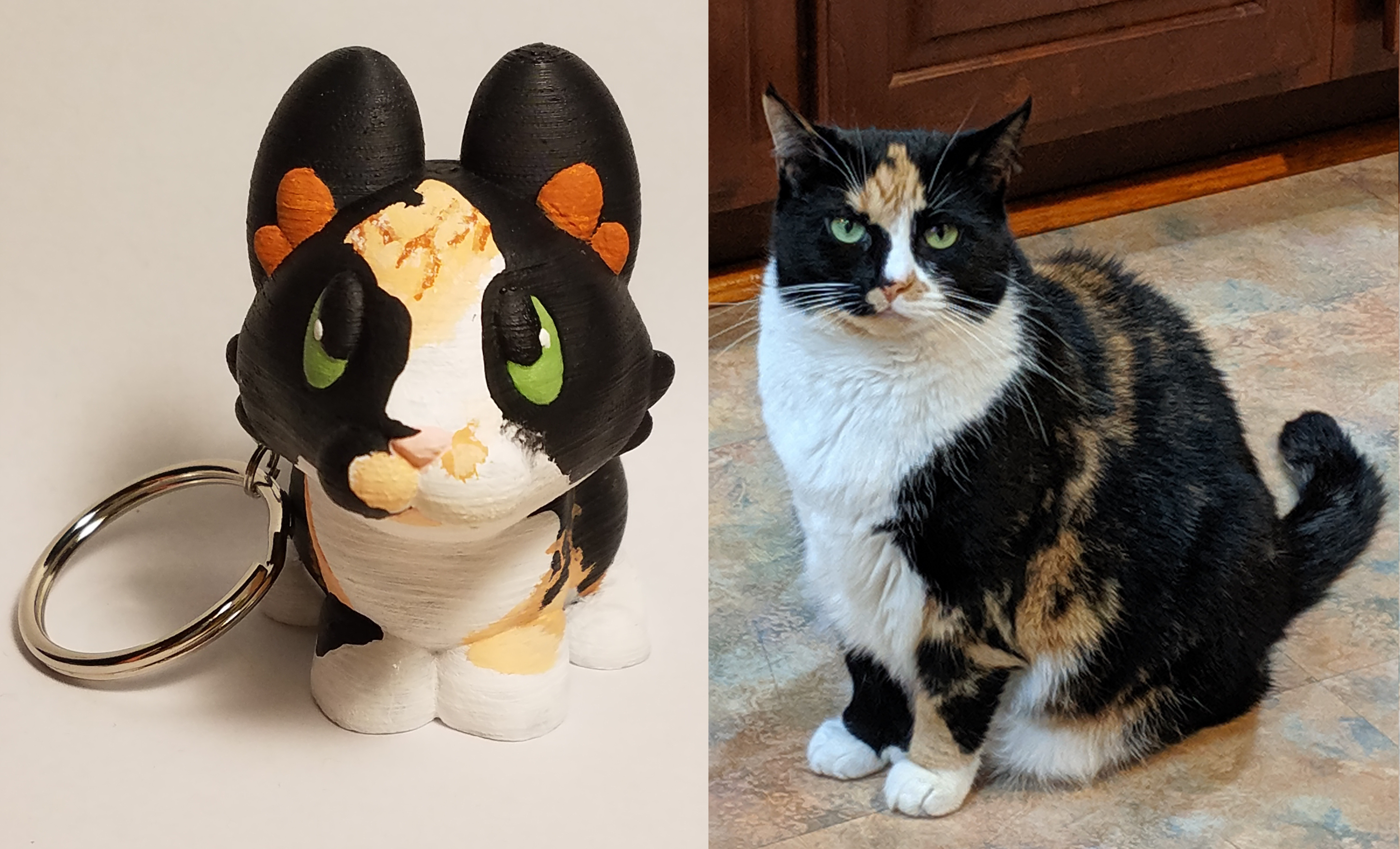 cat