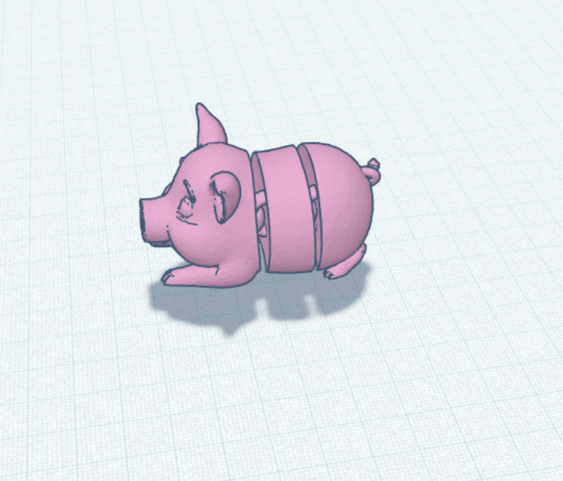 Flexi Pig and Long Flexi Pig