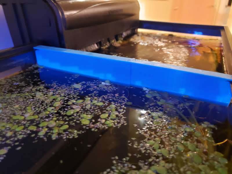 Floating Plant Aquarium Divider