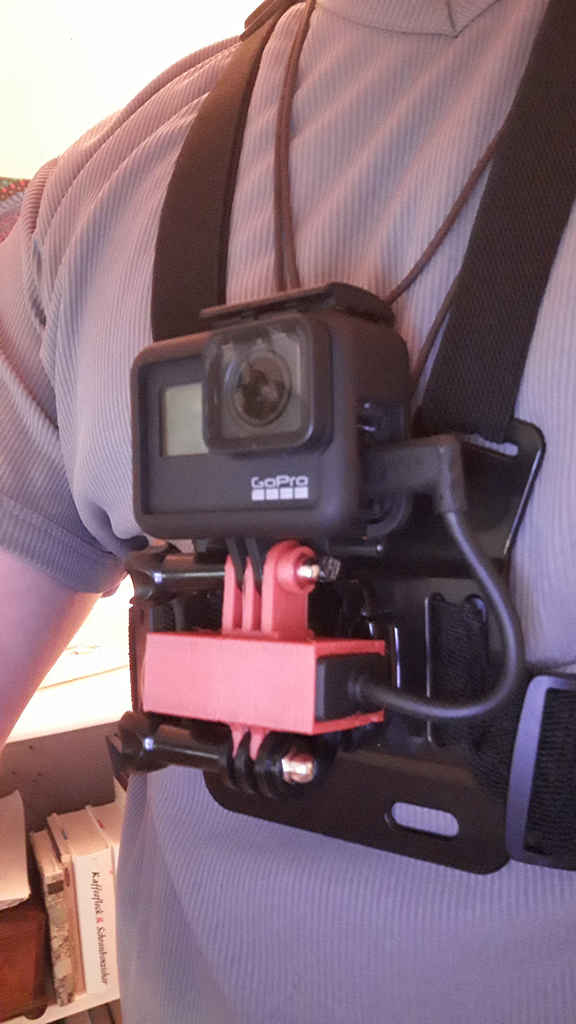 GoPro mic adapter