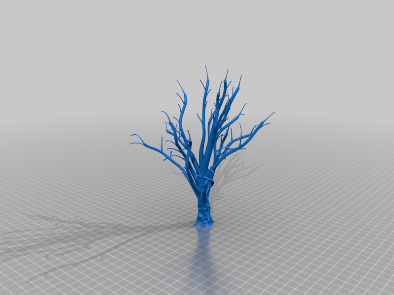 Bare Tree