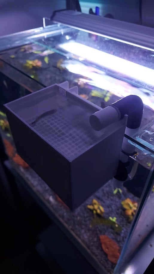 Aquarium Hang-On Breeding Box / Askı Yavruluk