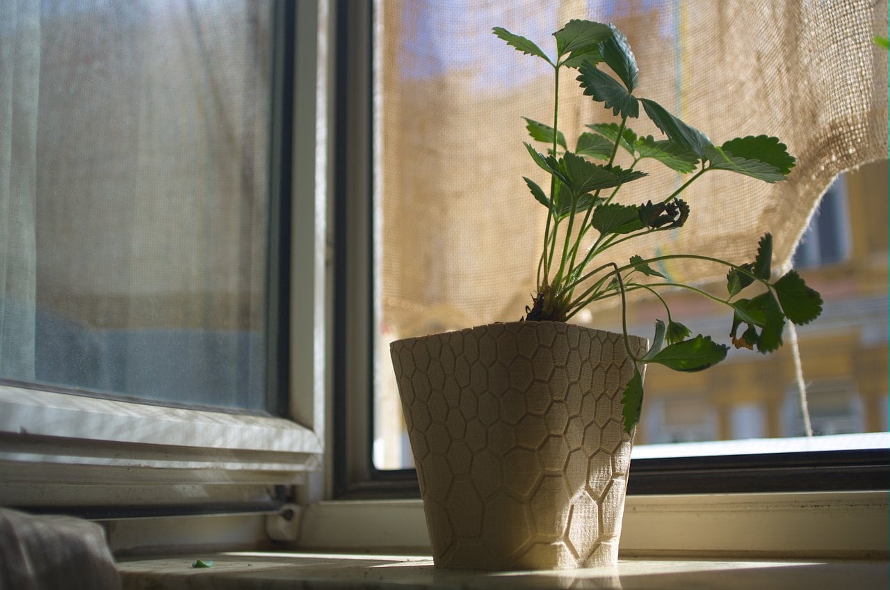 honeycomb planter #1