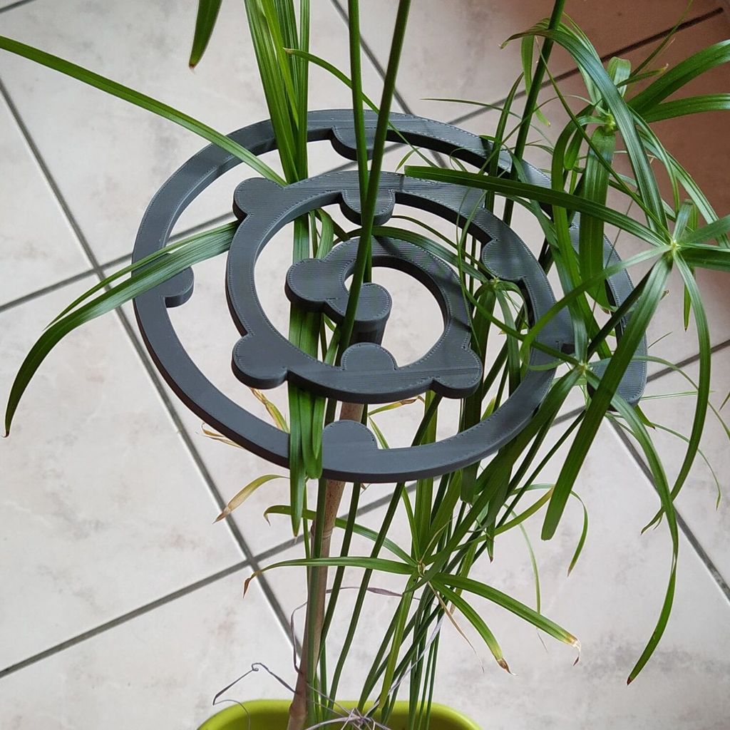 Support spiral for papyrus plants or plants with long stems 