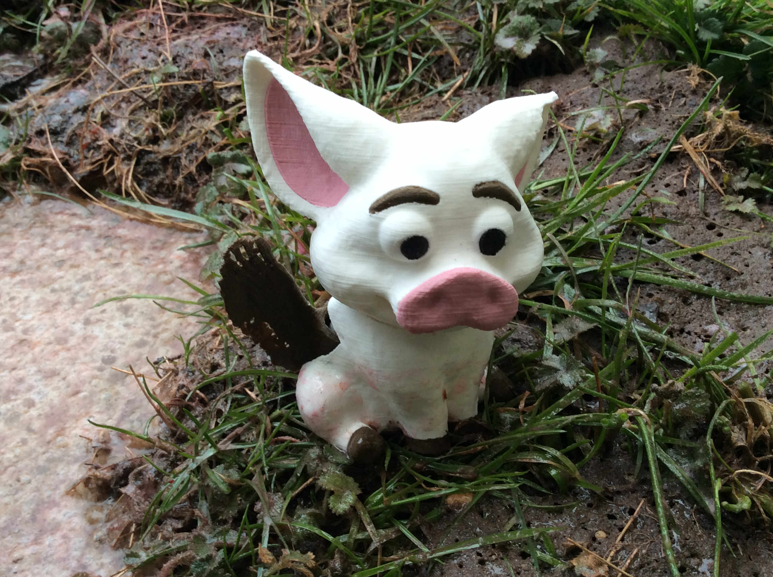 When Pigs Fly