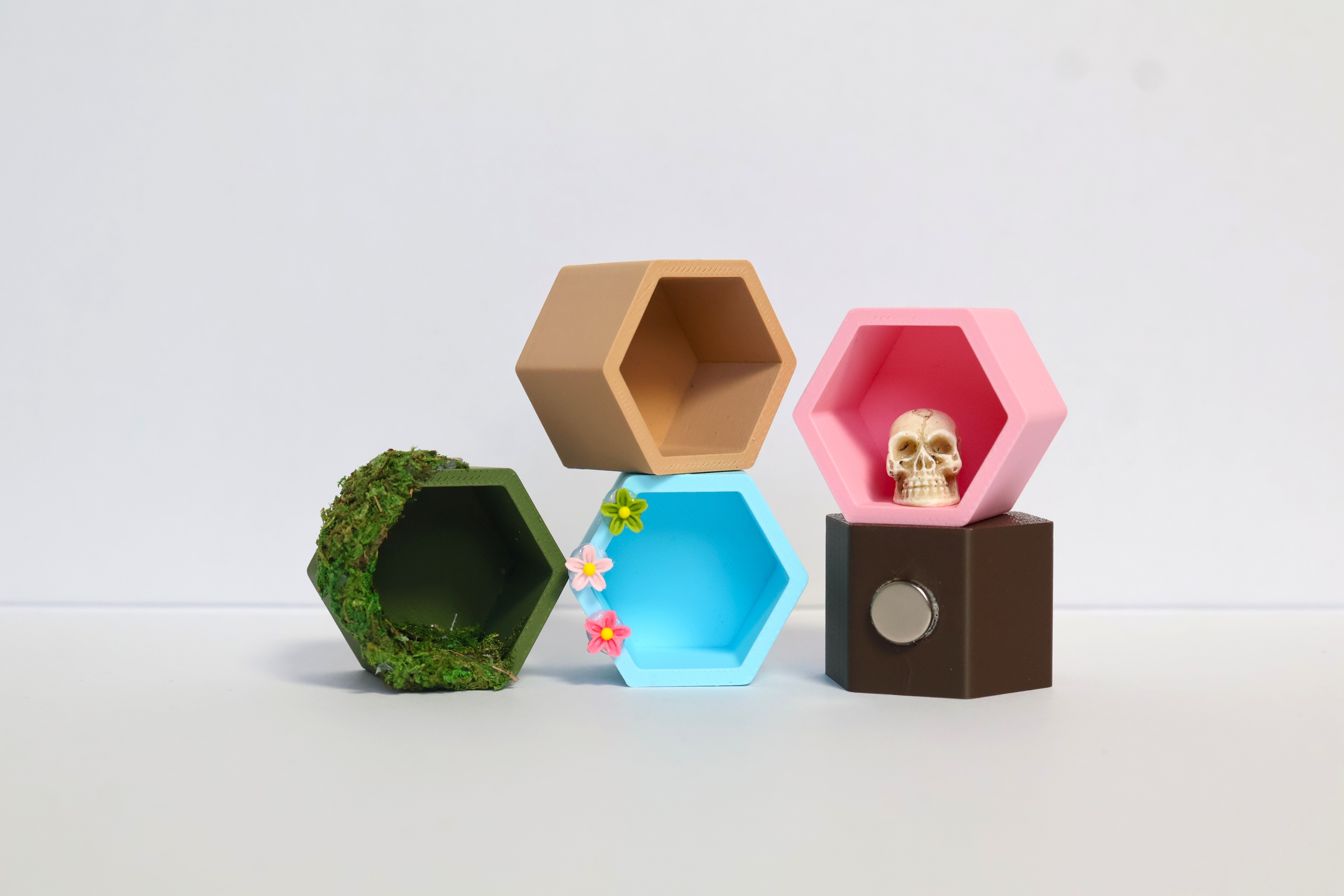 Hex Jumping Spider Hide Mix & Match