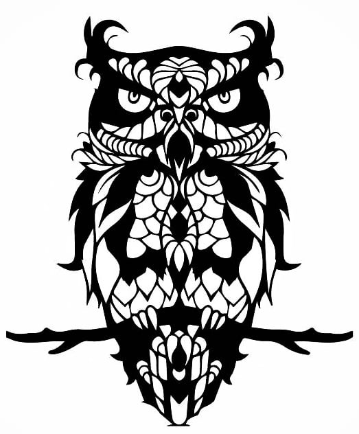 2D owl