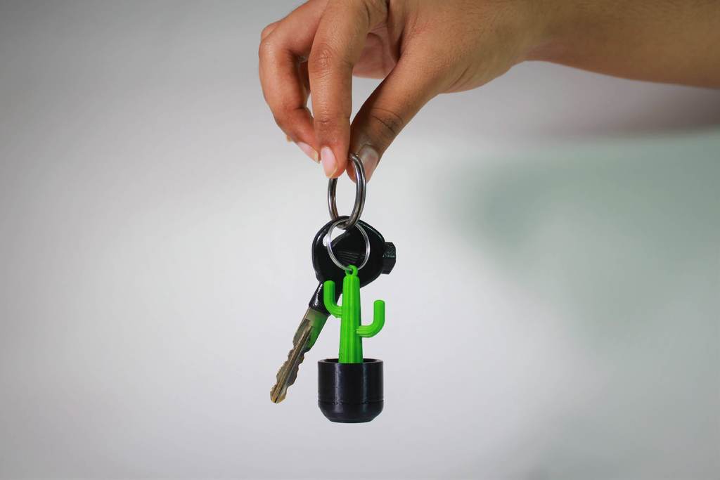 Cactus keychain 